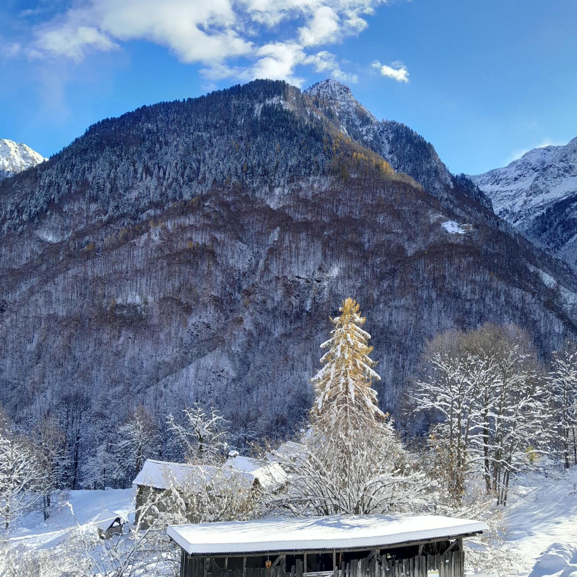 Casa All'Alpe Anzino Extérieur photo